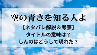 空の青さを知る人よ_解説_サムネイル